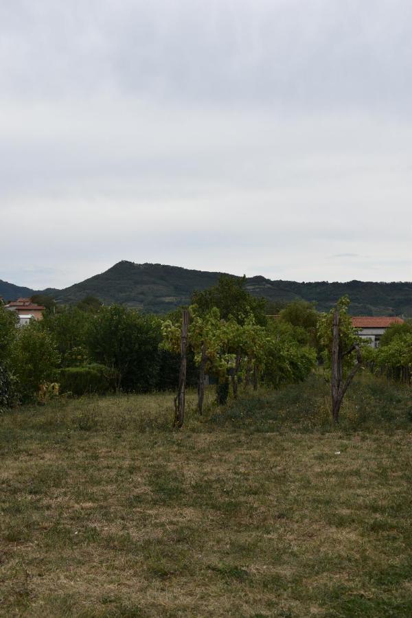 Small House In Vipava Valley Kültér fotó